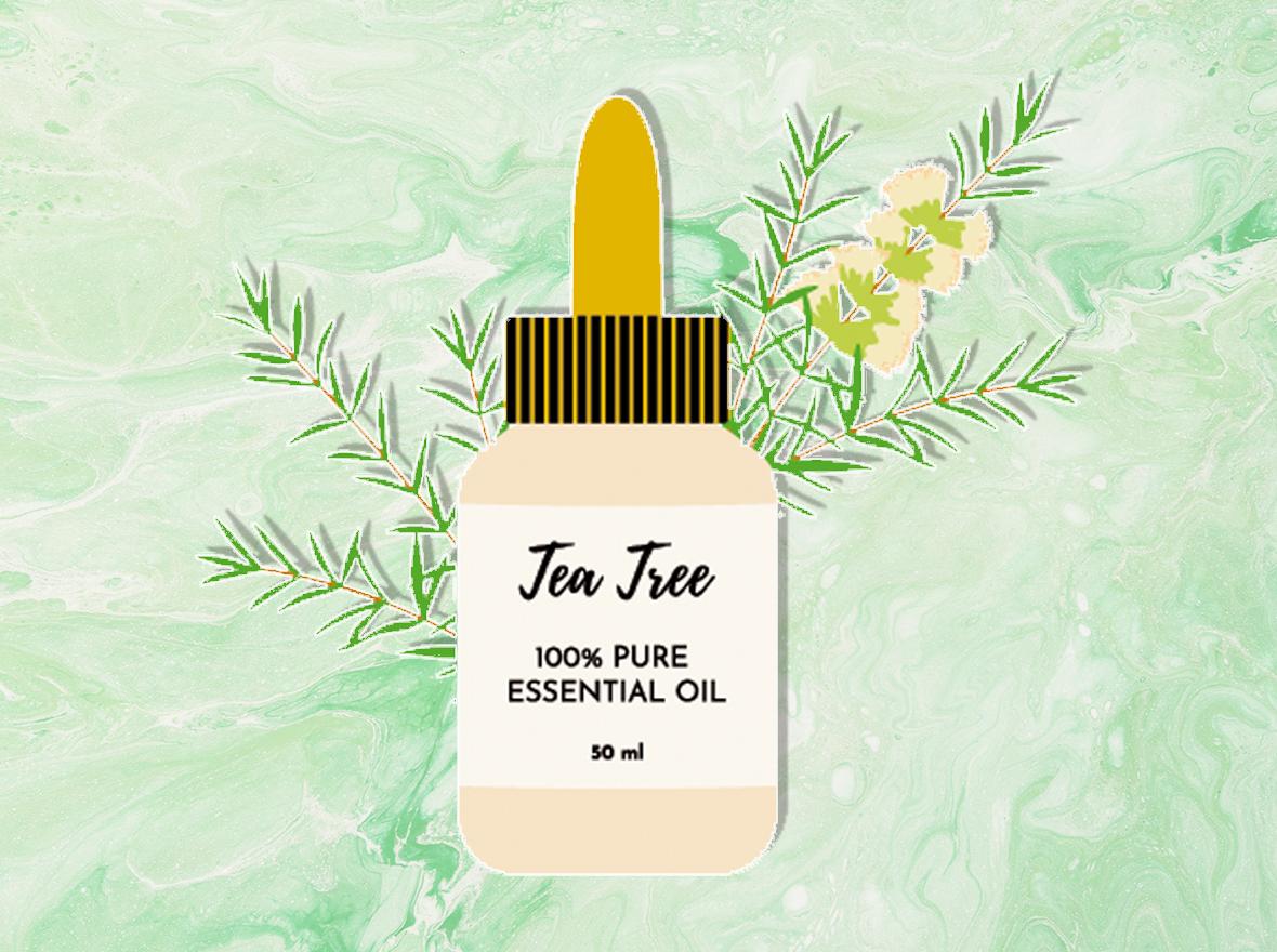 que-pasa-si-pongo-aceite-de-arbol-de-te-en-la-cara ¿Qué pasa si pongo aceite de árbol de té en la cara?